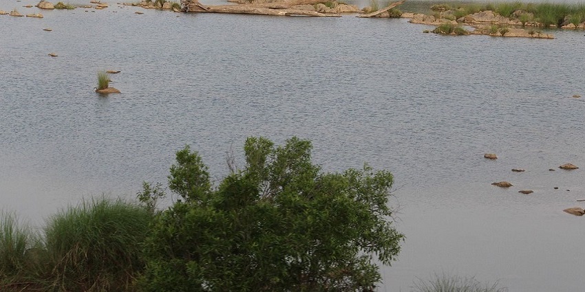 Beautiful view of Ken River, offering a serene escape to all nature lovers