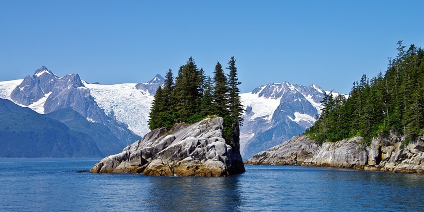 Icy glacier slopes behind tall pine trees and pristine lake in Kenai Fjords National Park
