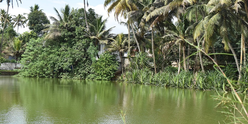View of Khairna bridge in Khairna, a perfect setting for relaxation.
