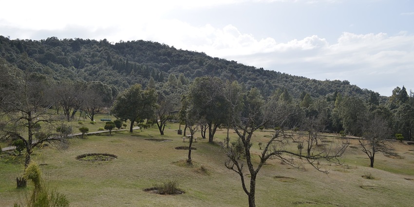 A picture of a lush green valley, an offbeat place near Dehradun