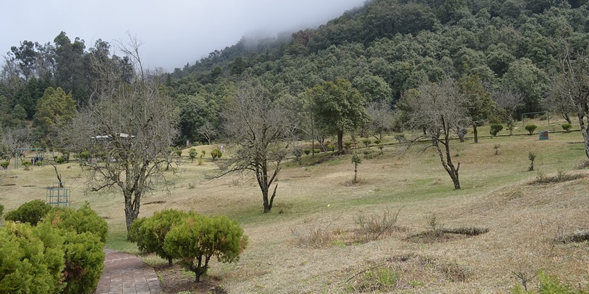 Lush green park in Khirsu with trees, walking paths, and distant Himalayan views.