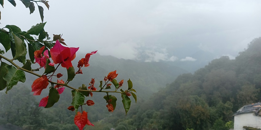 An image of Khirsu which is one of the offbeat places in Uttarakhand for a perfect escape.