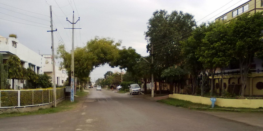 A picture of a street in Rohtak surrounded by greenery and trees from all the sides