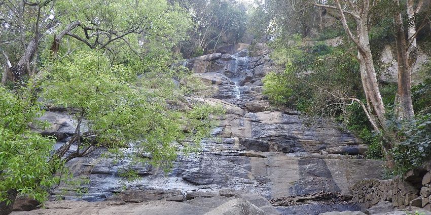 Kiliyur Falls cascades down rugged cliffs and rocks and surrounded by dense greenery.