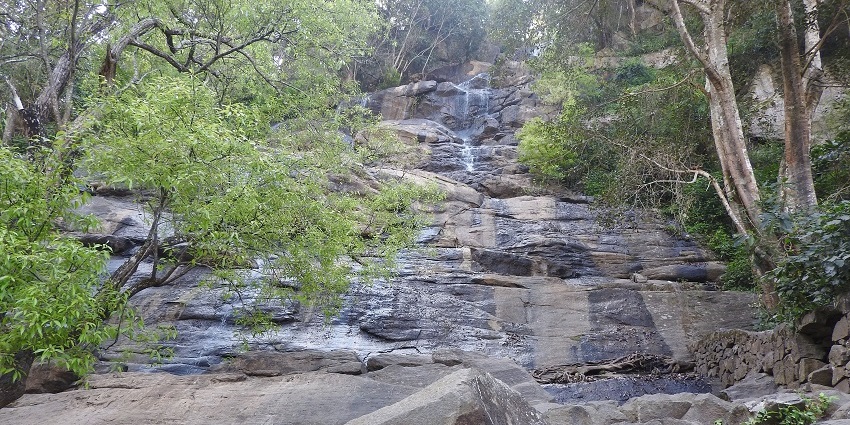 A picture of Kiliyur Falls cascading down a rocky cliff, surrounded by lush greenery.