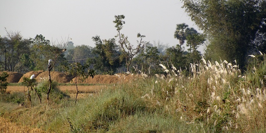 A picture of Killiyur forests, hiking here is one of the best things to do in Yercaud.