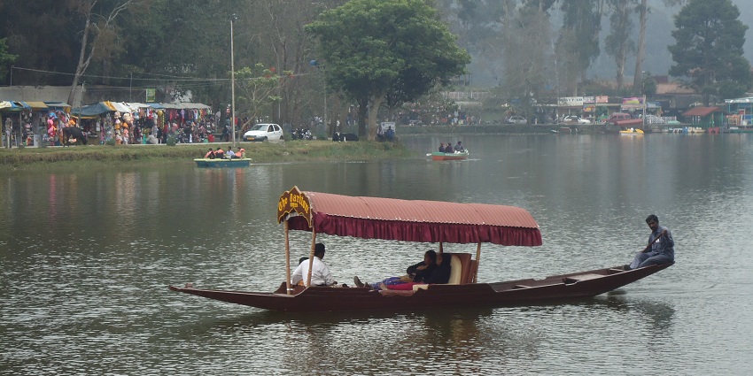 Boating on Kodaikanal Lake, surrounded by trees, a popular destination near Kodaikanal Wildlife Sanctuary.