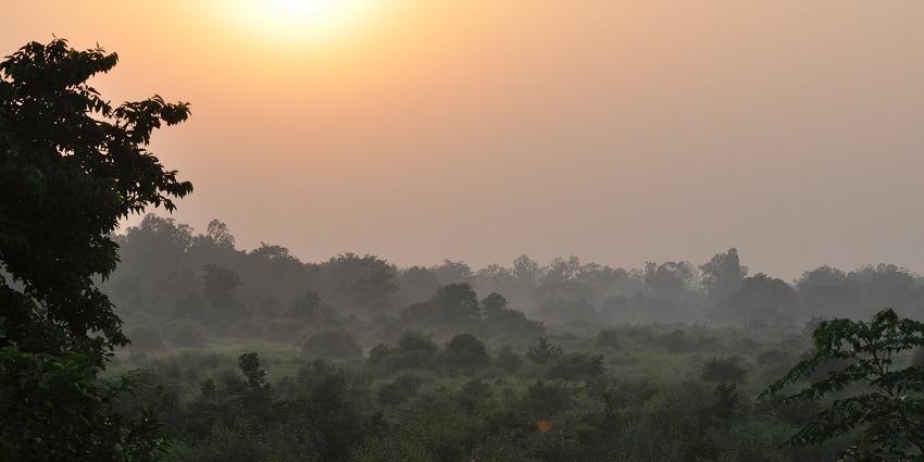 Discover diverse flora and fauna on the Kodia Jungle Trek.