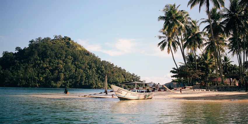 A serene coastal view of a beach similar to Kodiakkarai Beach near Point Calimere.