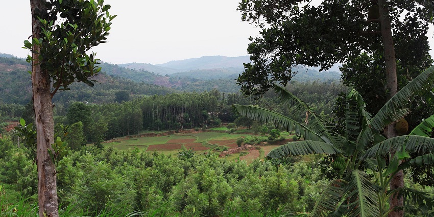 Kolli Hills is one of the best places to visit for every nature lover for amazing views.