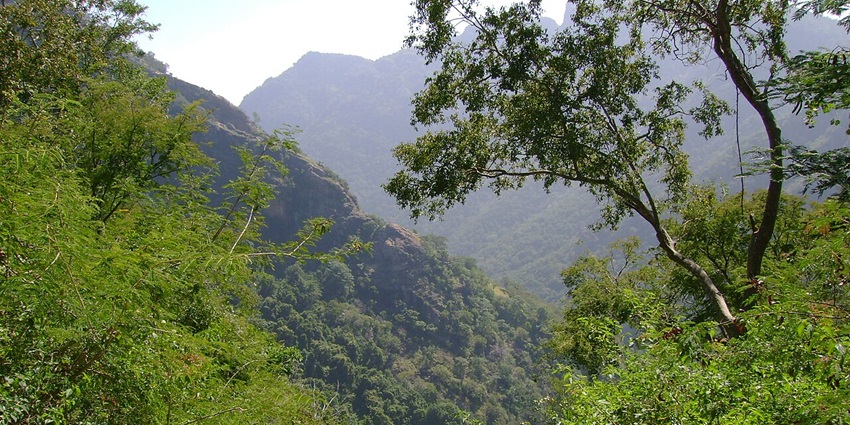 Kolli Hills is one of the offbeat hill stations, perfect to spend a weekend getaway.