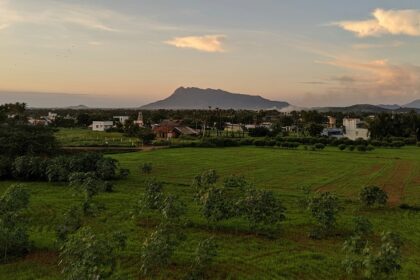 A breathtaking vista of sprawling lush green fields and majestic peaks in Tamil Nadu.