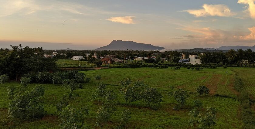 A breathtaking vista of sprawling lush green fields and majestic peaks in Tamil Nadu.