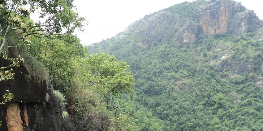Kolli Hills Viewpoint with misty mountains - one of the places near Kollimalai Temple.