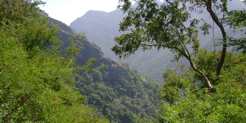 A picture of Kolli Hills, a serene hill station with winding roads and lush greenery.