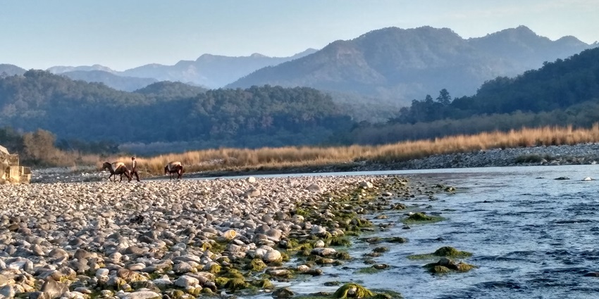 Image of the tranquil Kosi River which is one of the scenic places to see near Haldwani.