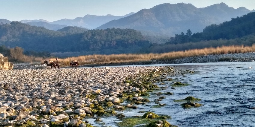 Kosi River is one of the best places to visit in Ramnagar for every traveller.