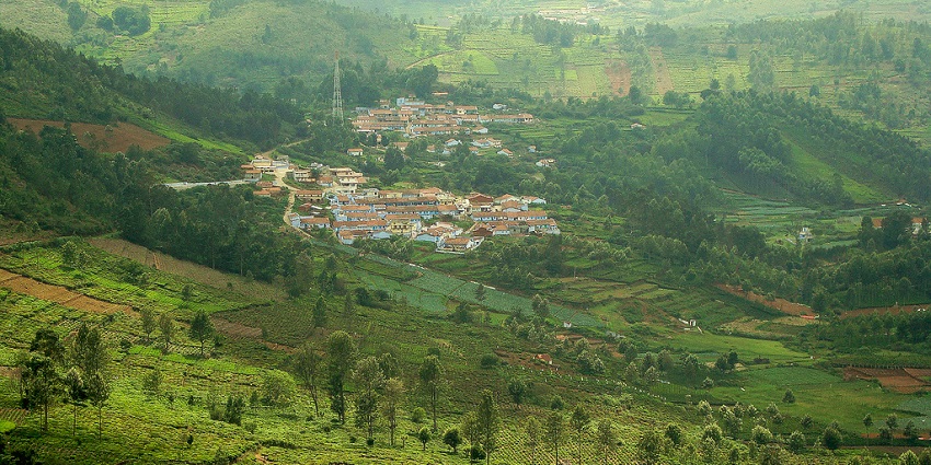 A picture of Kotagiri, which is one of the oldest hill stations near Tiruvannamalai