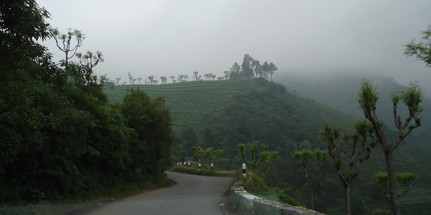 Image of misty hills in Kotagiri, a famous place near Ooty, Tamil Nadu
