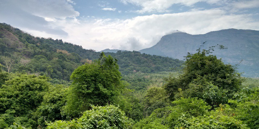 Dense green area around Siruvani Waterfalls while the waterfall creating a pond