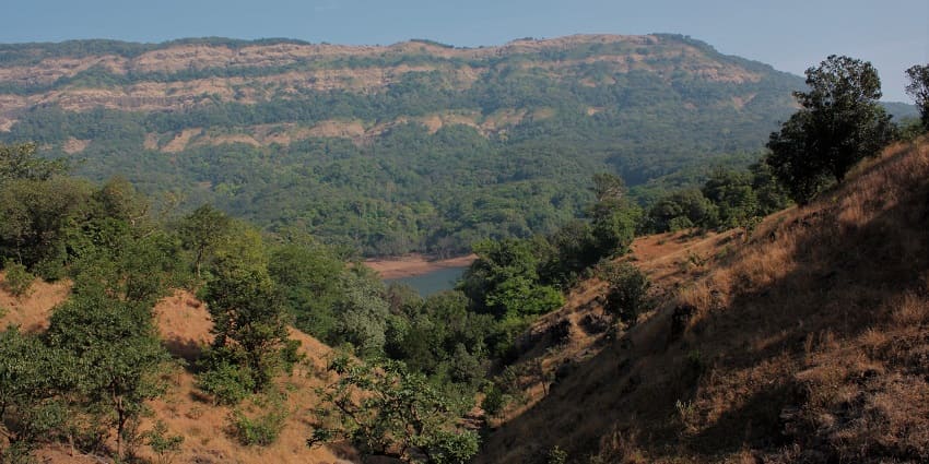 A picture of Koyna Wildlife Sanctuary of the Western Ghats with a jungle safari in Maharashtra.