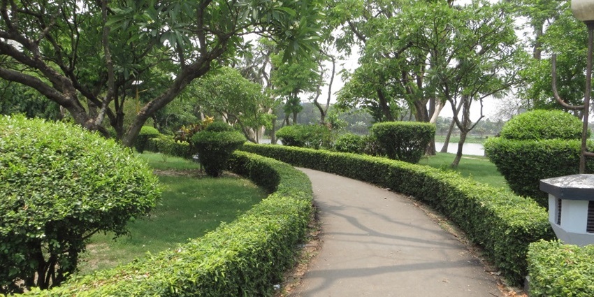 iew of the lush trails inside the Krishna Sayar, an ideal place for nature lovers