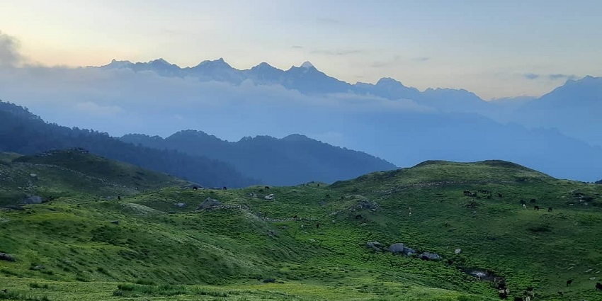 A green meadow with mountains in the background under a bright blue sky at Kuari Pass.