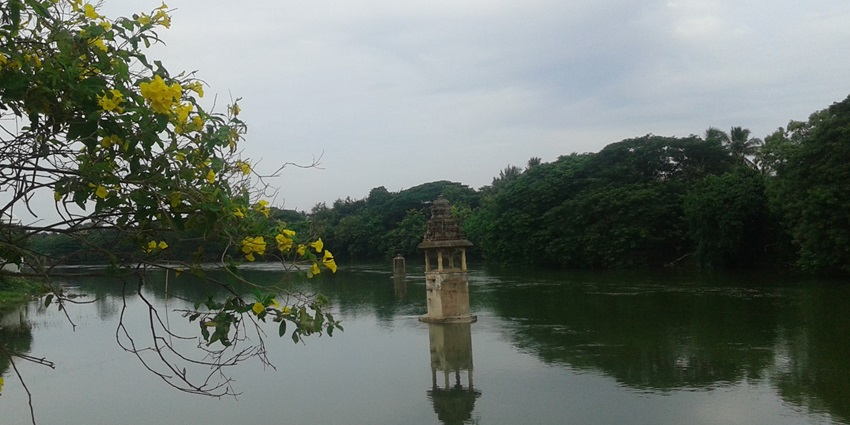 Cauvery River flowing through Kumbakonam with a small tank surrounded by greenery.
