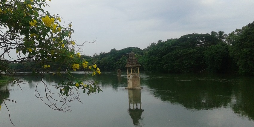 Cauvery River flowing through Kumbakonam with a small tank surrounded by greenery.