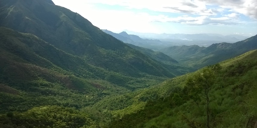 A picture of the lush expanse at Kurangani with tea gardens and greenery all around