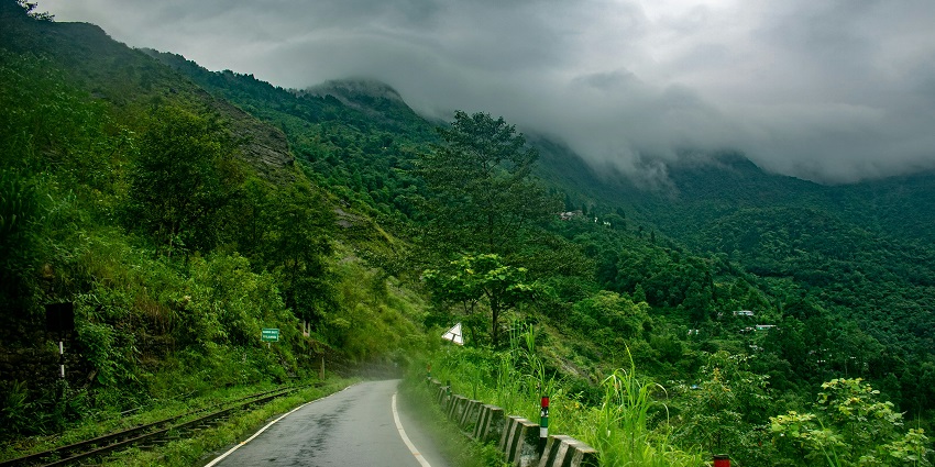 Kurseong is a picturesque place to visit in North Bengal, known for its tea gardens and orchids