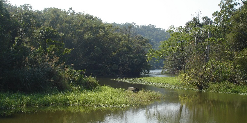 Kushalnagar tourist places feature tranquil lakes perfect for relaxation in nature.