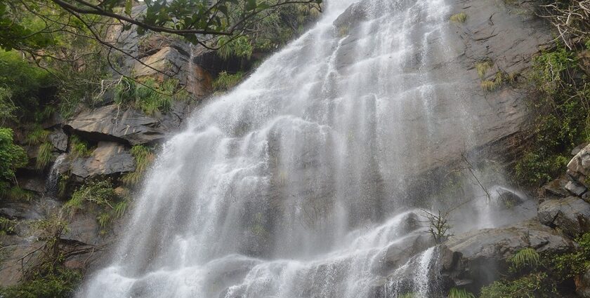 A scenic view of Kutladampatti Waterfalls surrounded by greenery in Vadipatti, Tamil Nadu.