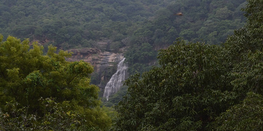 Kutladampatti Waterfalls cascading down a rocky cliff, surrounded by lush greenery