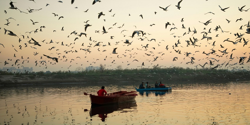 A view of a peaceful boat ride, surrounded by lush greenery and scenic setting