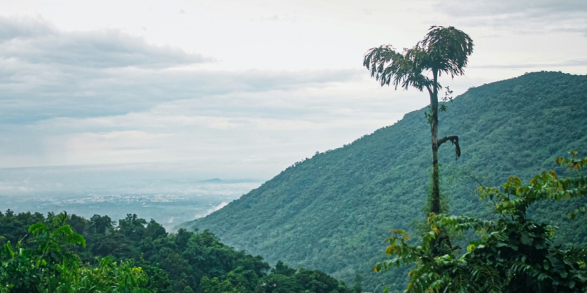A breathtaking view from Lamb's Rock with fog drifting over the green mountains