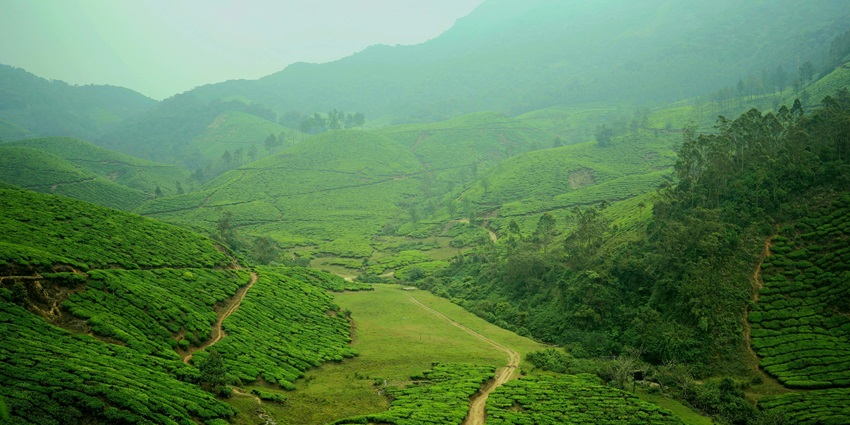 A picture of Lamb's Rock, which is one of the best places to visit in Coonoor.