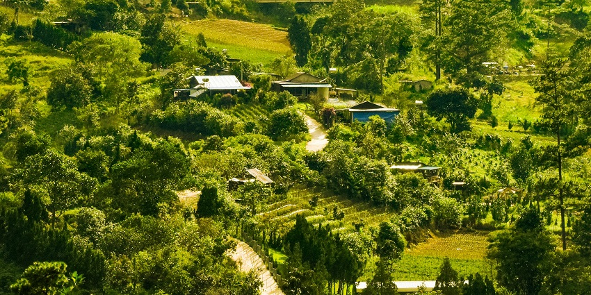 Lansdowne, the most peaceful place among hill stations near Dehradun