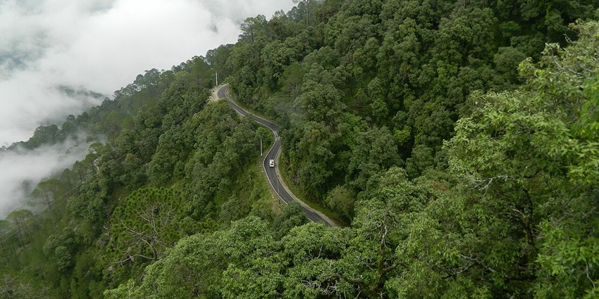 An image showing a stunning landscape view of Lansdowne, highlighting the lush greenery.