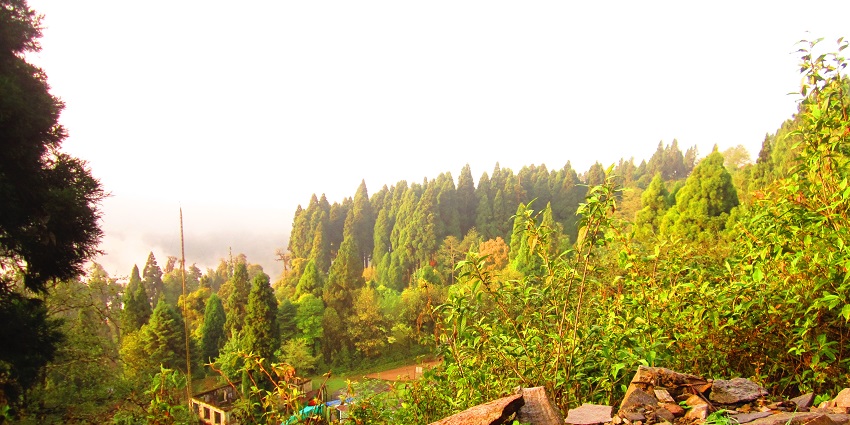 Explore the stunning views of lava, an offbeat place in Dooars, West Bengal.