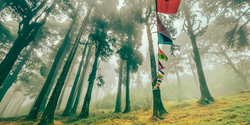 Witness the Kanchenjunga range, one of the offbeat places to visit in North Bengal.