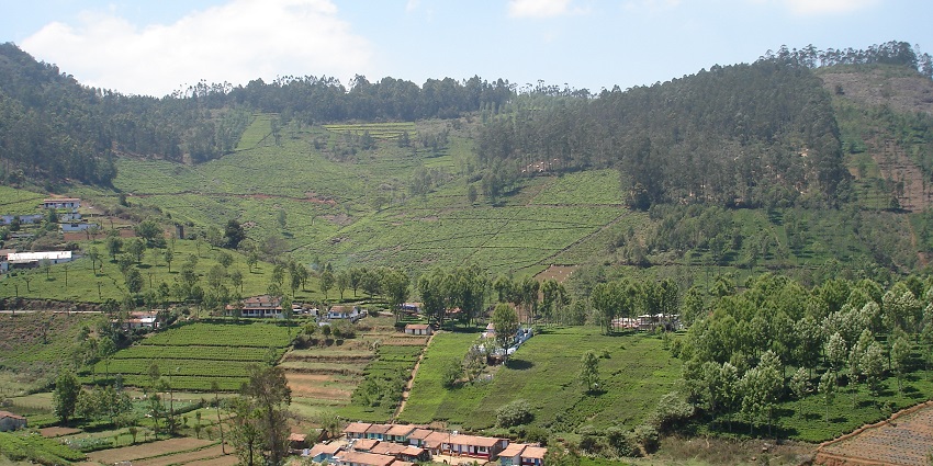 Lepchakha offers breathtaking views, one of the best offbeat places in Dooars.