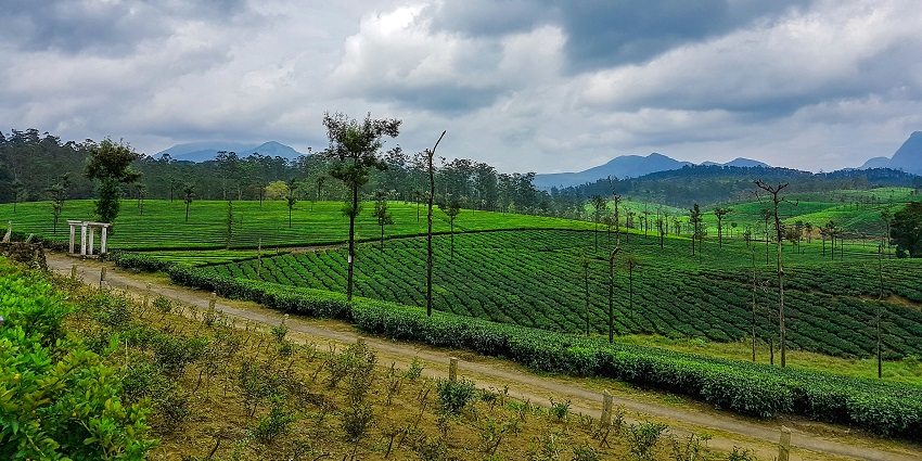 A breathtaking landscape justifying the serene location of the Kolli Hills trekking.