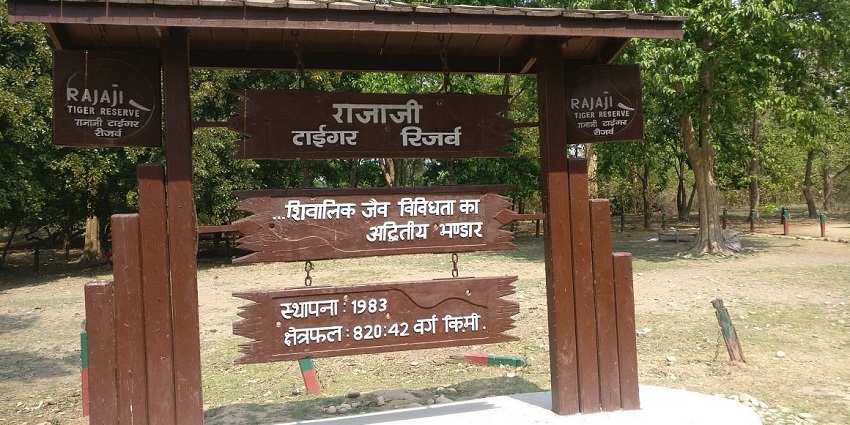 Rajaji National Park Jungle Safari offers diverse wildlife and habitats in Uttarakhand.