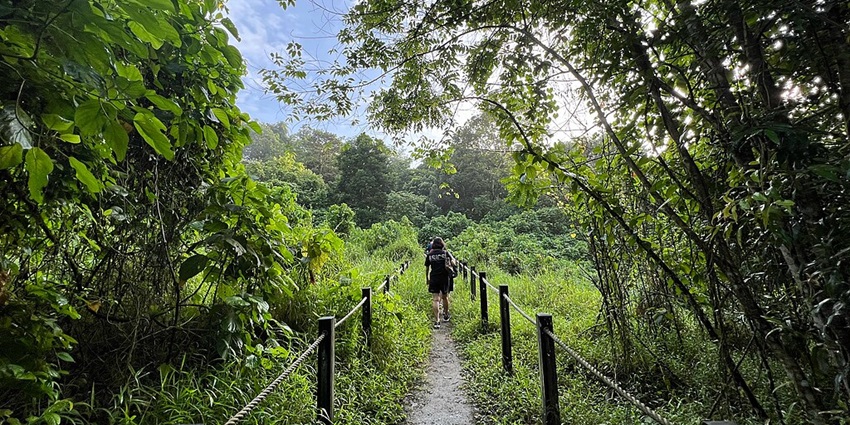 The lush green trail where tourists hike at Lachhiwala Nature Park.