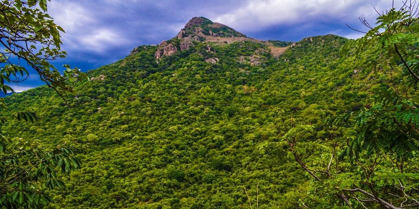The upward slope on a road leading to the Shevaroy temple and hill covered in greenery.