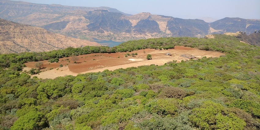 Kamalgad Fort stands on a rocky plateau surrounded by vegetation.