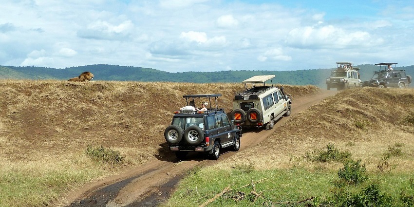 An image of a jeep for the Tadoba Jungle Safari, highlighting thrilling adventure