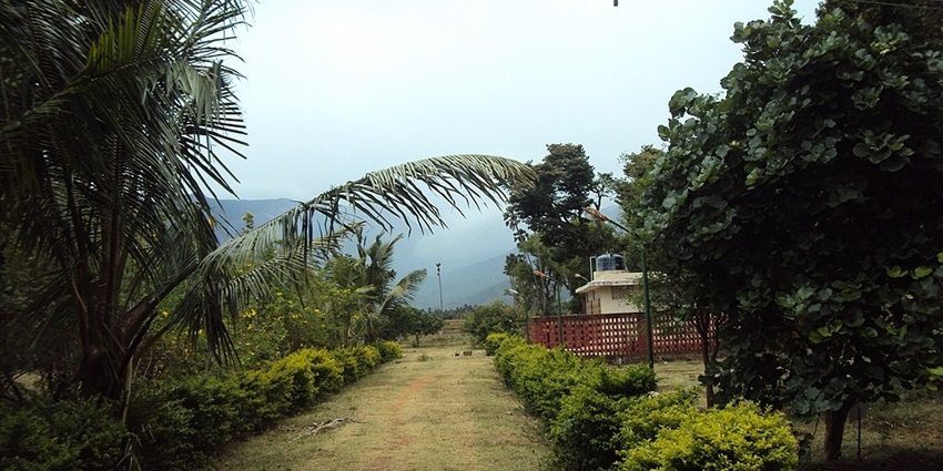 Path from Sivasailam temple surrounded by lush greenery and distant hills in Tirunelveli