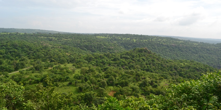 A beautiful view of the greenery around Sonbhadra, where Agori Fort is located.